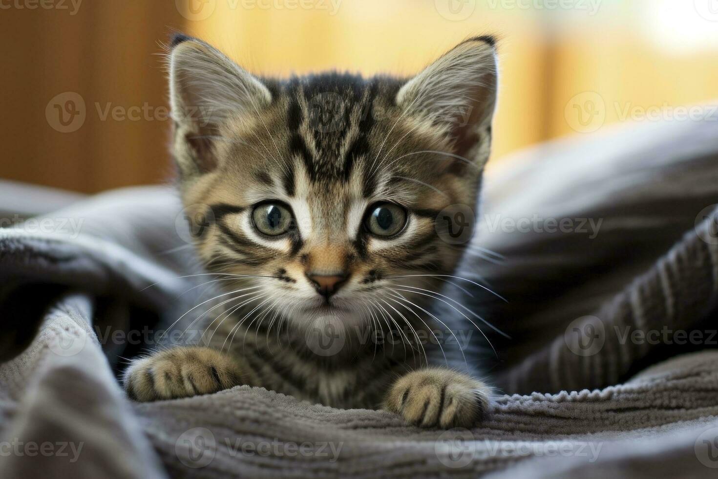 ai gerado fofa retrato do uma pequeno malhado gatinho dentro uma cobertor. foto