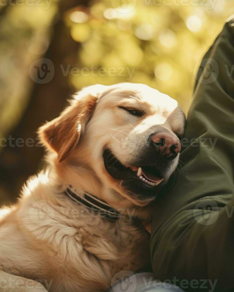 ai gerado retrato cachorro brincalhão feliz ao ar livre fofa labrador verão dourado animal amizade animal foto