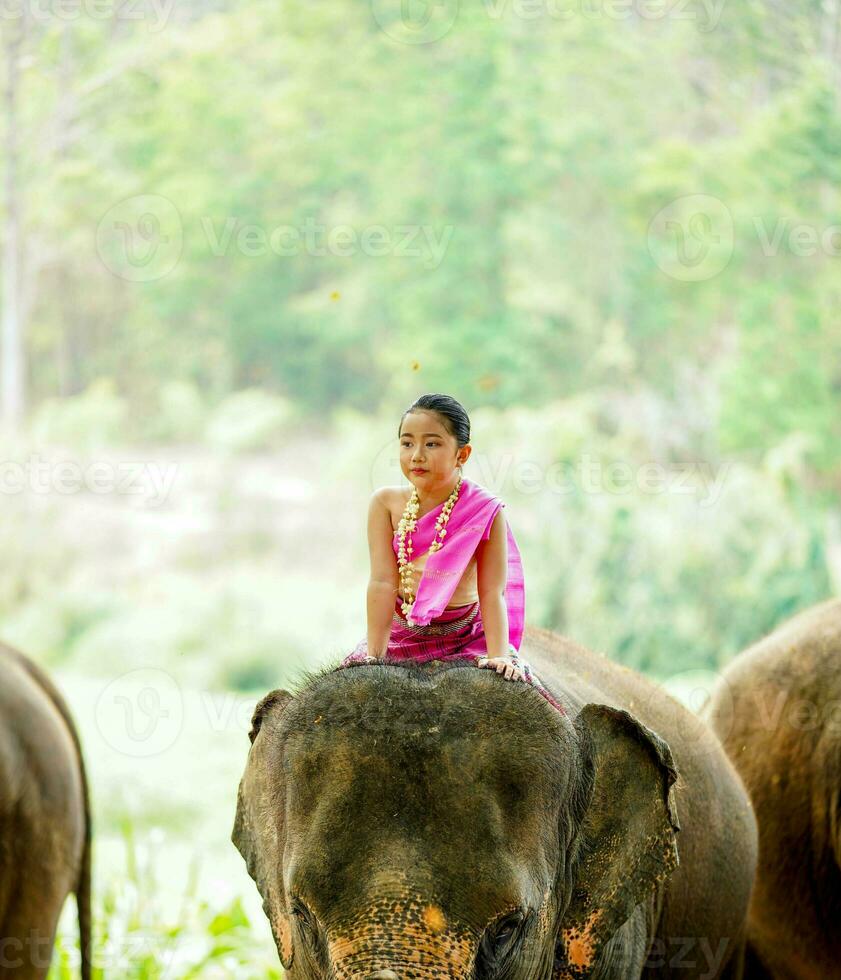 uma lindo tailandês pequeno menina com tailandês norte tradicional vestir agindo e equitação a de elefante pescoço para foto tiro em borrado fundo.