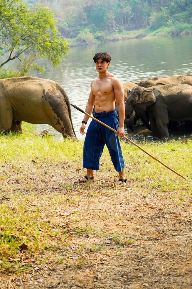 ásia bonito mahout com perfeito corpo agindo para uma foto tiro em rebanho do ásia elefantes fundo.