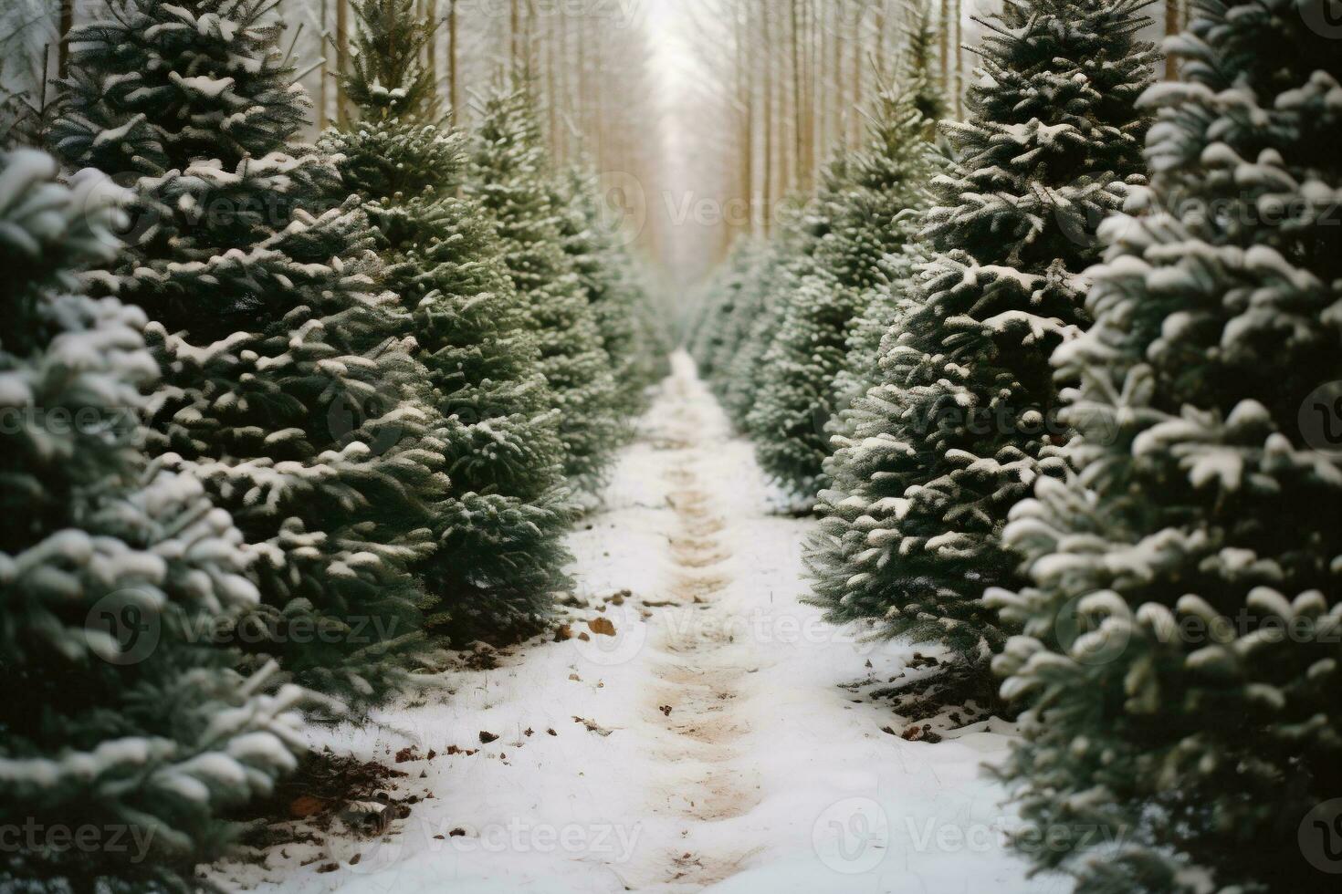 ai gerado Natal árvores Fazenda coberto com neve. lindo inverno panorama. foto