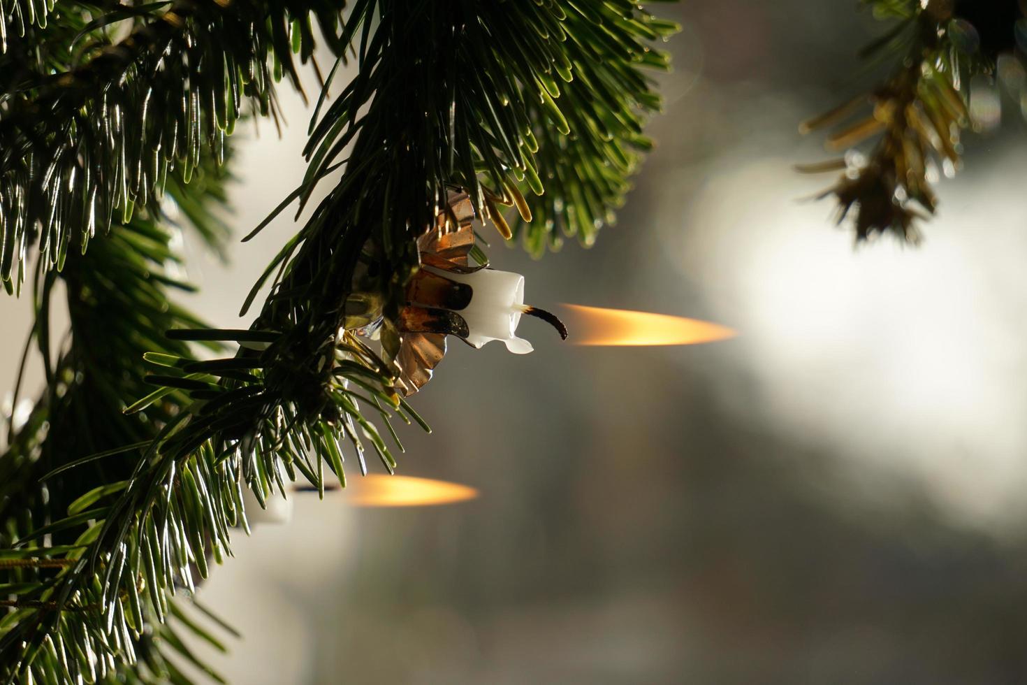 acender velas de cera. árvore verde de natal e luz de velas. foto