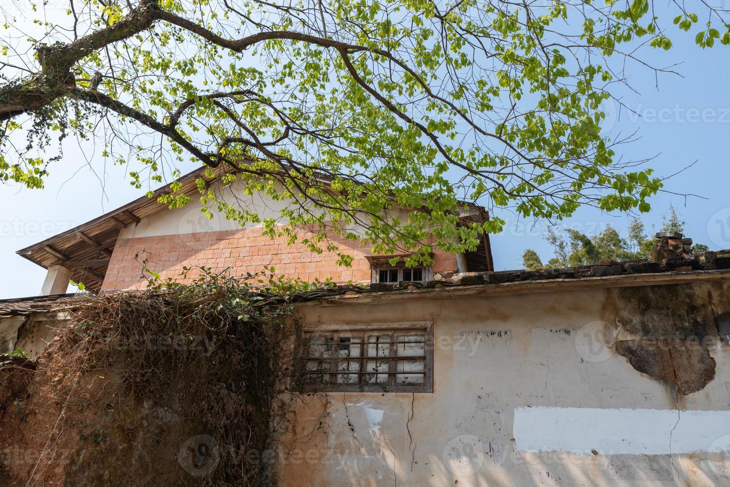 há uma árvore ao lado da casa na estrada foto