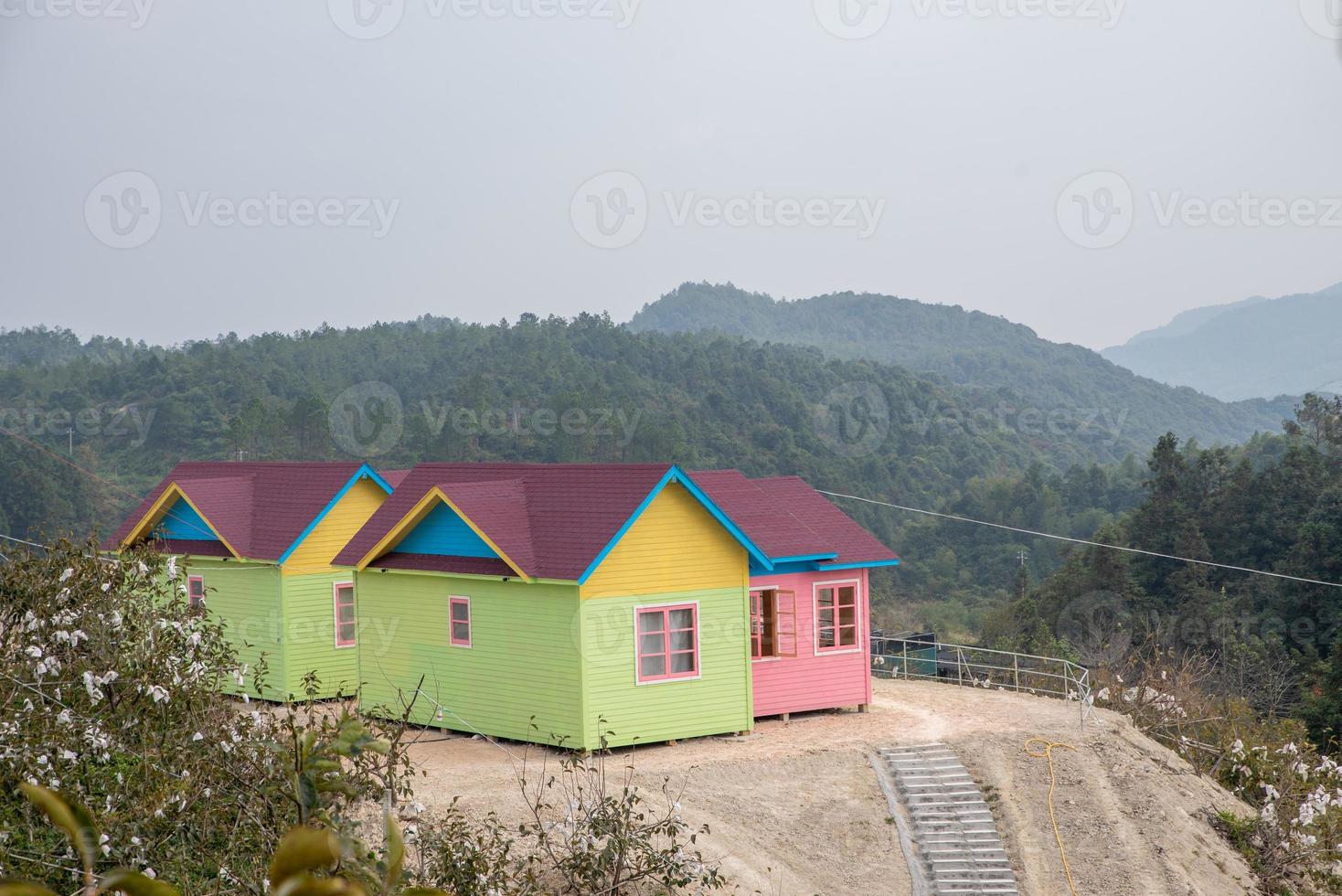 muitas casas no parque são cercadas por árvores verdes foto