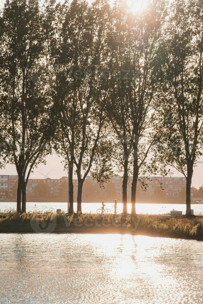 romântico momento do uma jovem casal quem conheceu depois de uma grandes Tempo durante uma pôr do sol dentro a parque e sentir amor e alegria a partir de seus reunião. Almere, Países Baixos foto