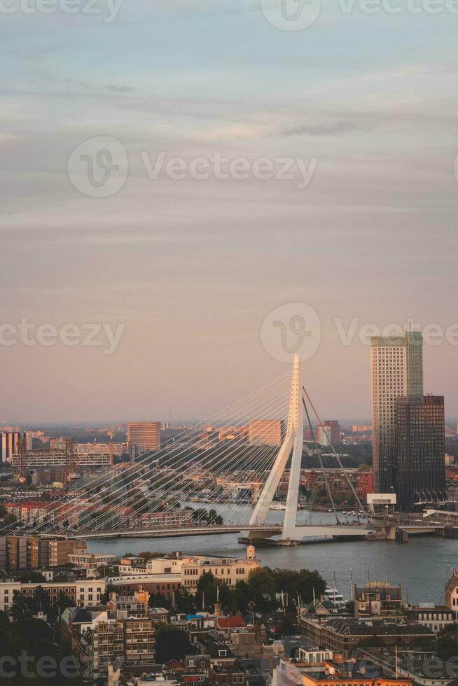 pôr do sol sobre a erasmusbrug ponte dentro a moderno cidade do Rotterdam, Países Baixos foto
