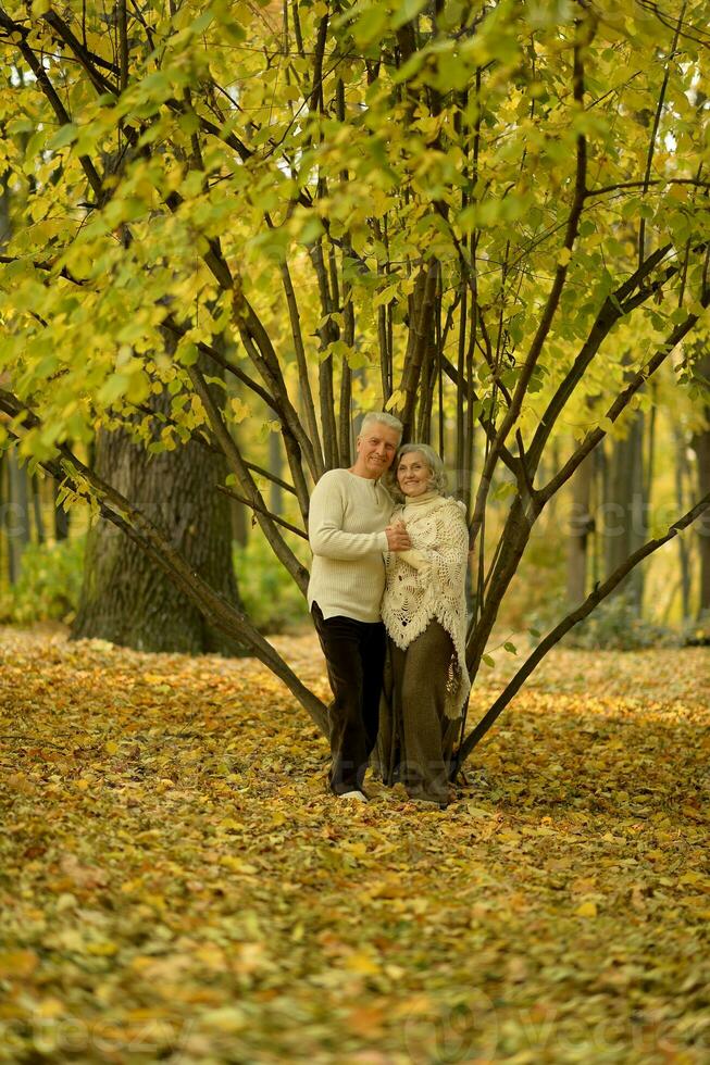 idosos casal dança dentro a parque dentro outono. foto