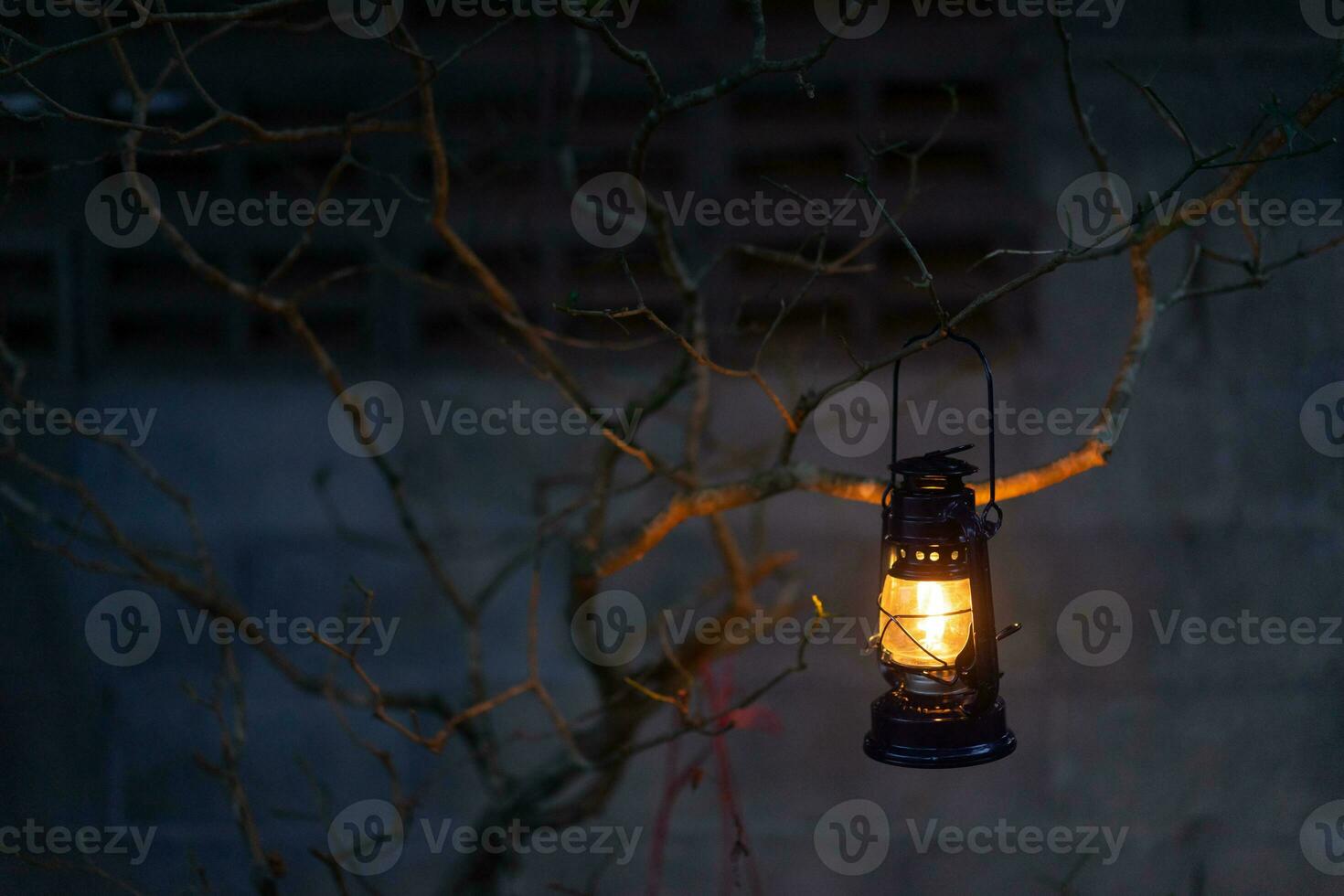 vintage latern suspensão do uma árvore dentro a tarde foto