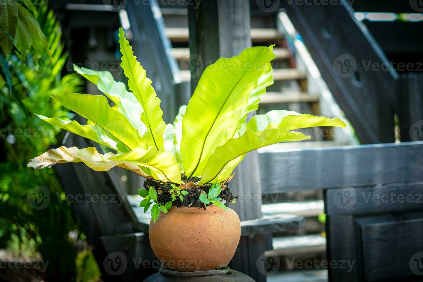 árvore dentro a Panela em clássico de madeira casa fundo foto