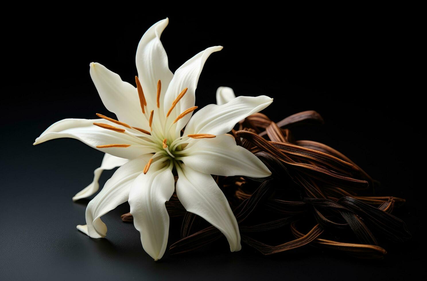 ai gerado a elegante flor com baunilha feijões em uma Preto mesa topo foto