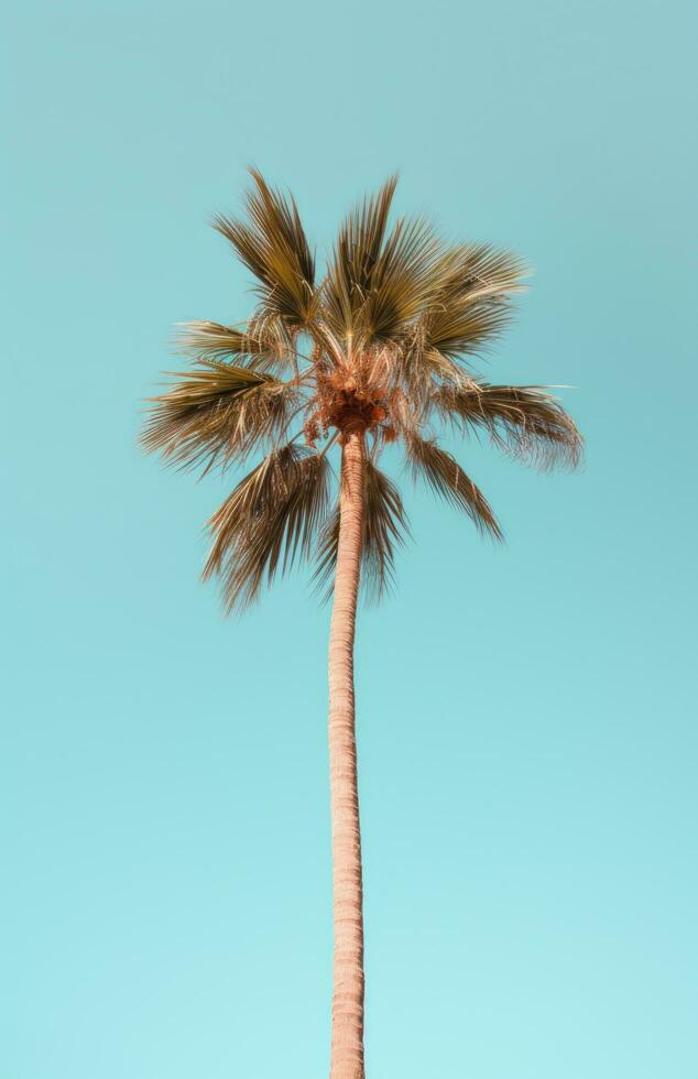 ai gerado Palma árvore em a de praia foto