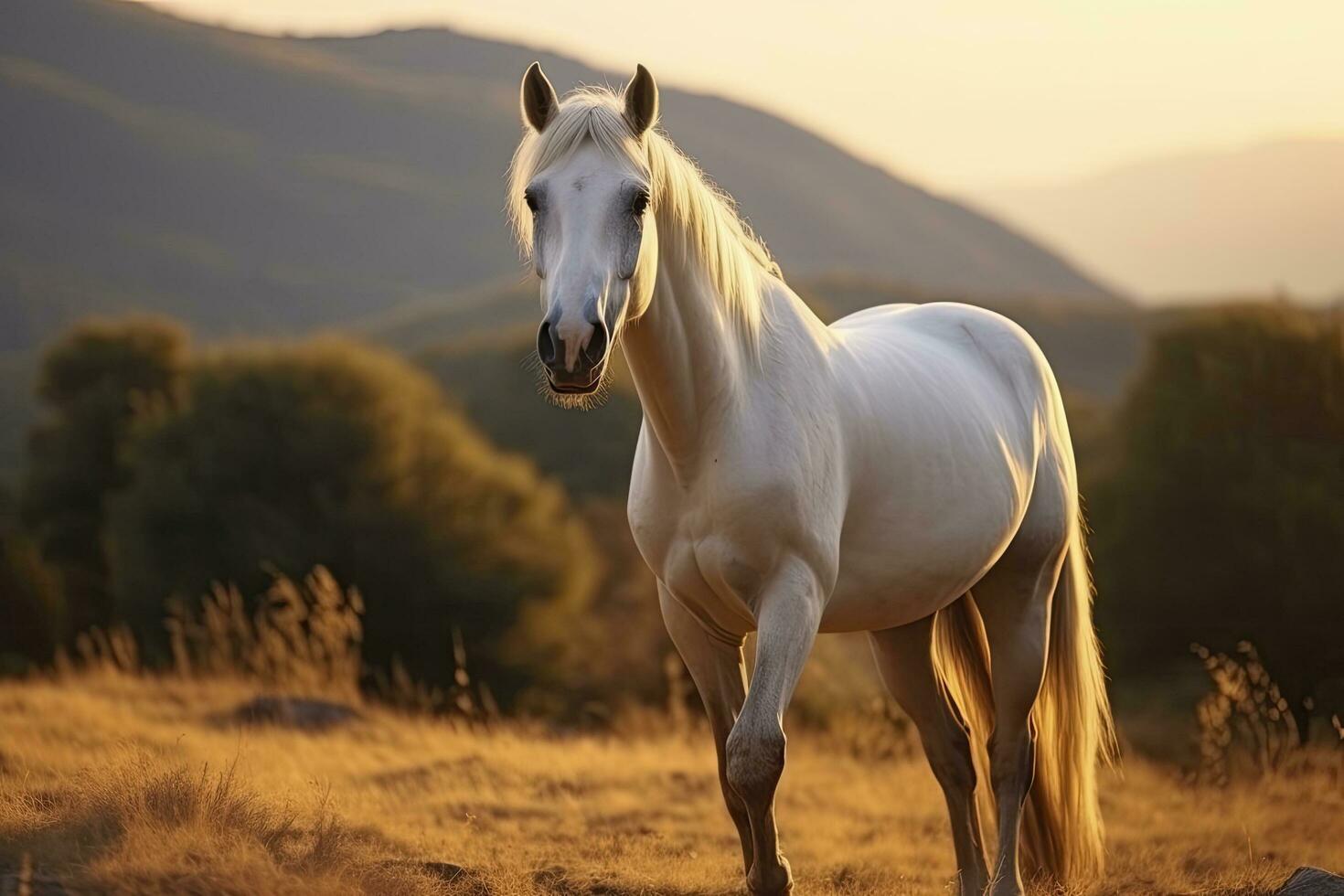 ai gerado branco cavalo ou égua dentro a montanhas às pôr do sol. ai gerado foto