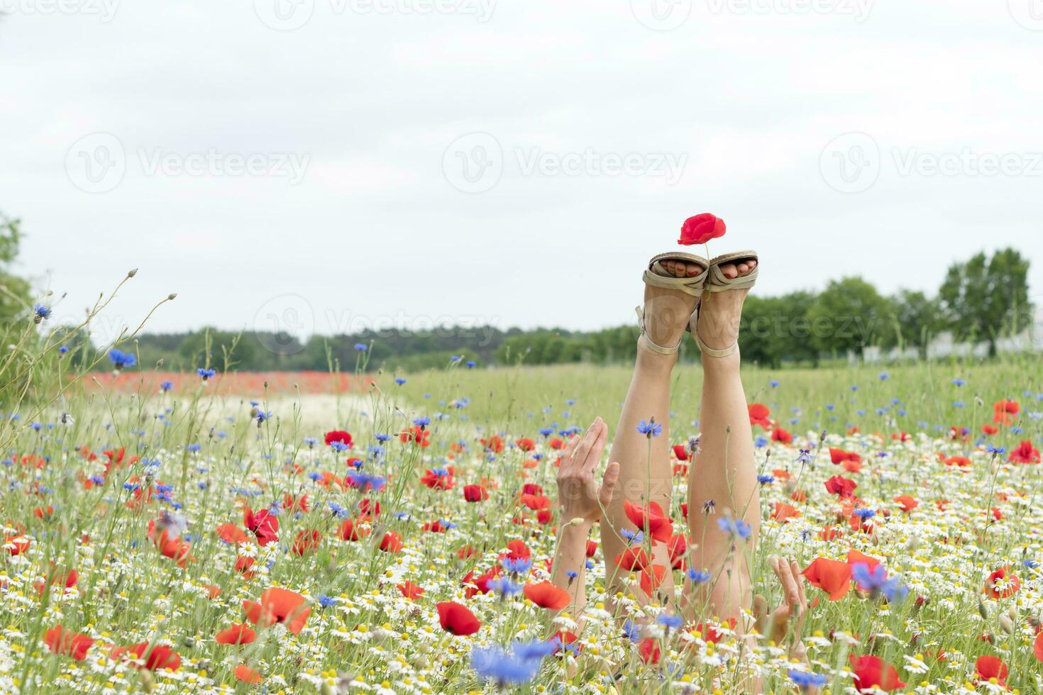 fêmea pernas bastão Fora a partir de a campo do multicolorido flores, explosão do cor foto