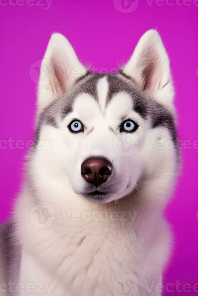 ai gerado uma fechar-se retrato do uma rouco cachorro com azul olhos e uma roxa fundo foto