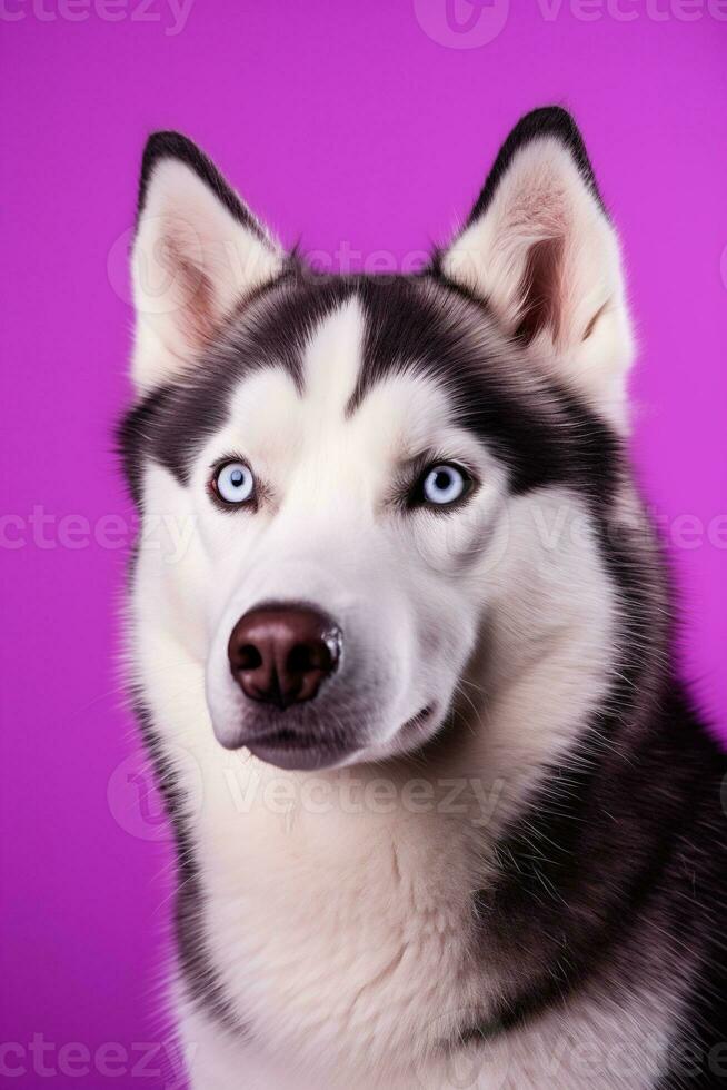 ai gerado uma fechar-se retrato do uma rouco cachorro com azul olhos e uma roxa fundo foto