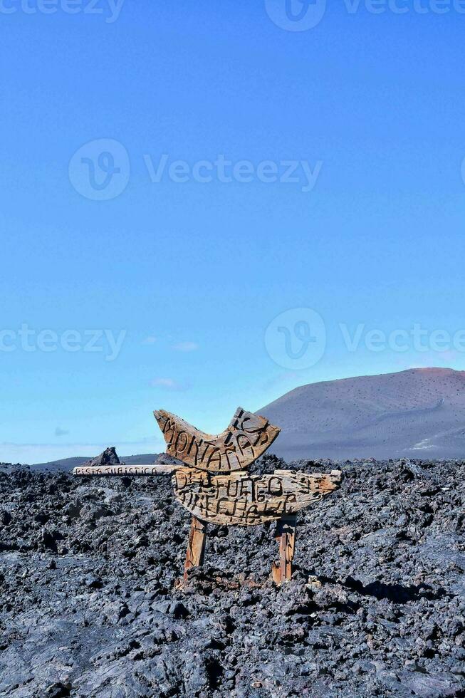 uma de madeira escultura em a lava campo foto
