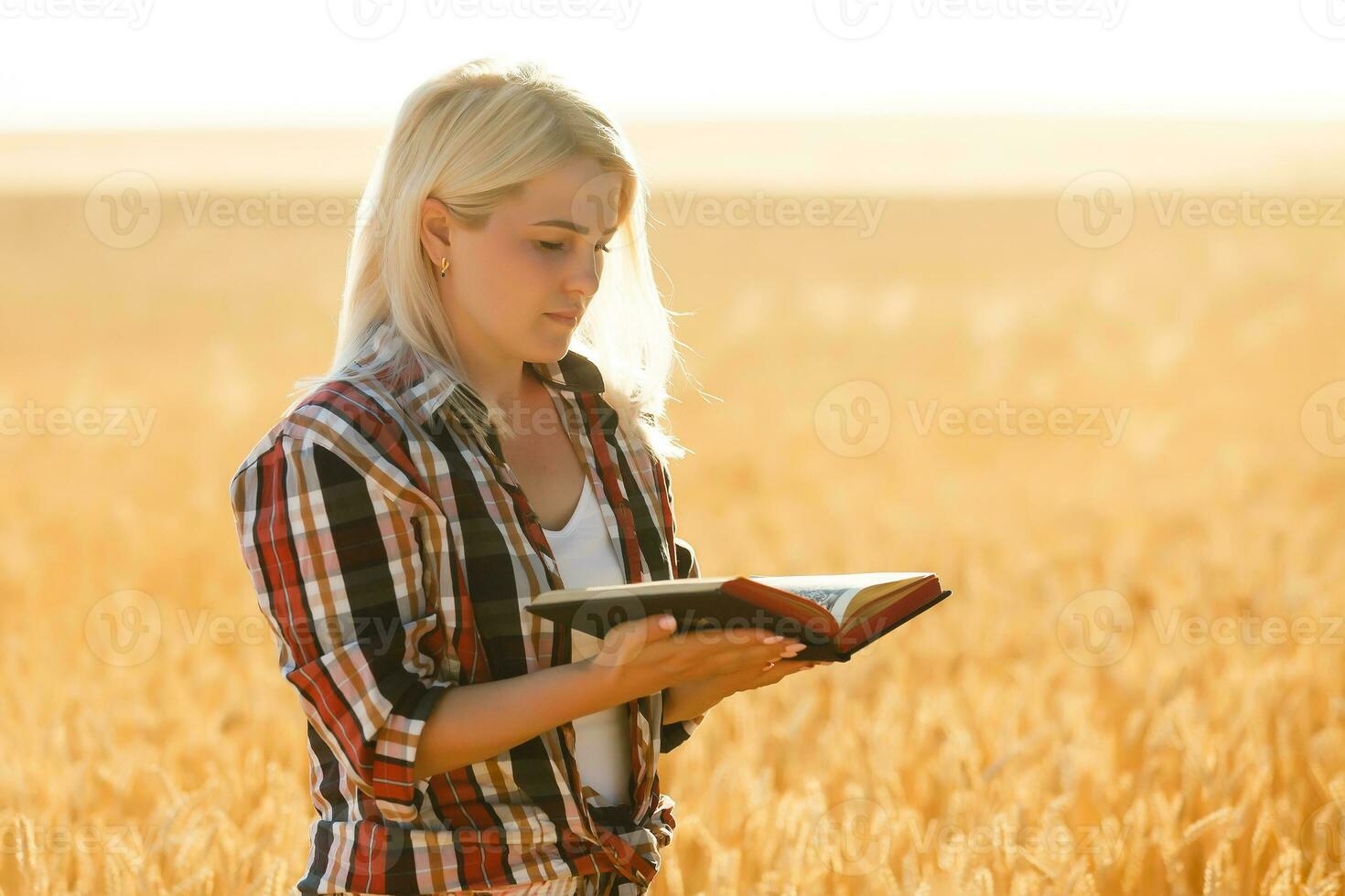 cristão mulher Rezar em piedosos Bíblia e de madeira Cruz dentro cevada campo em verão. mulher orar para Deus bênção para desejando ter uma Melhor vida e acreditam dentro bondade. foto