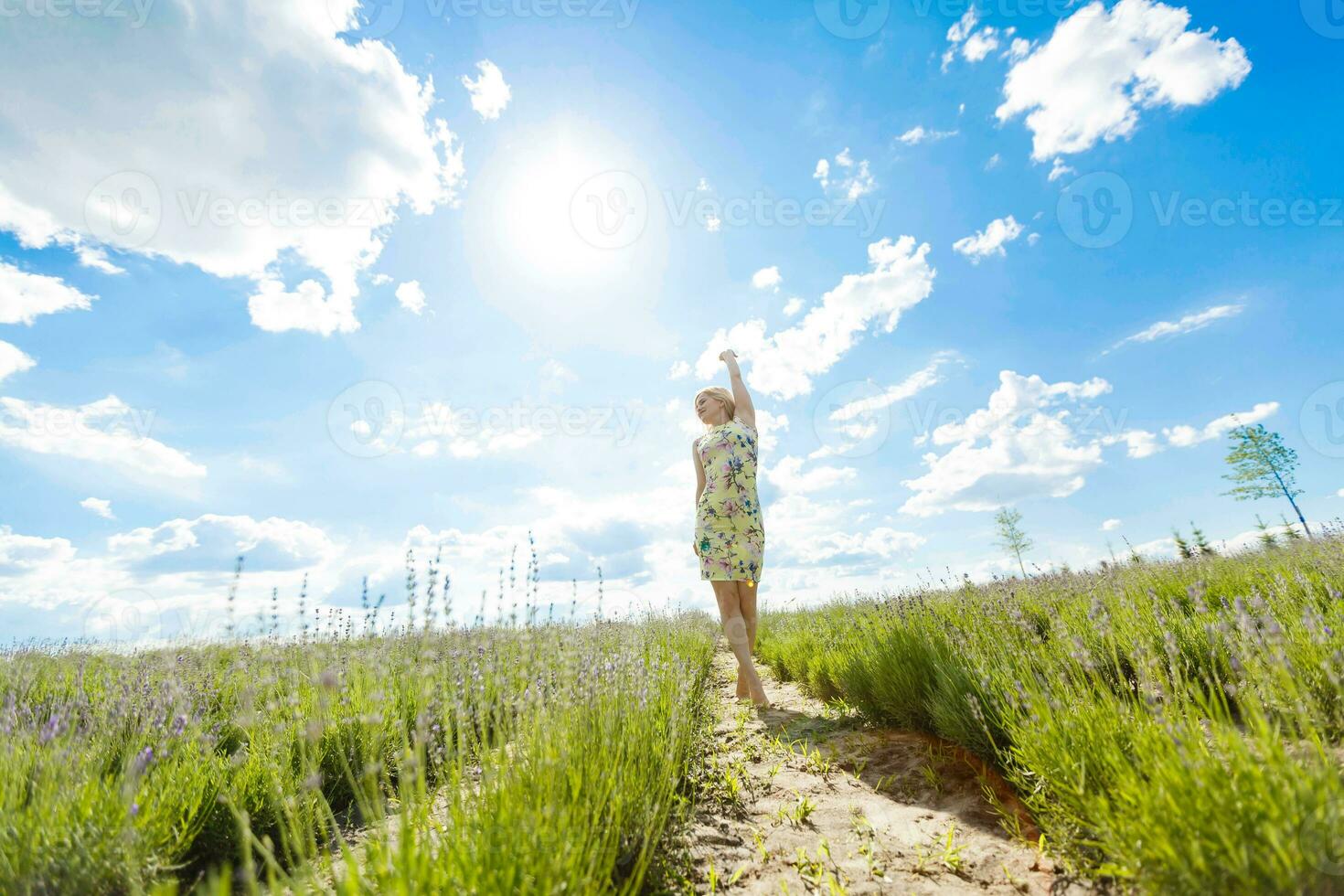 mulher em pé com aberto braços em uma lavanda campo foto