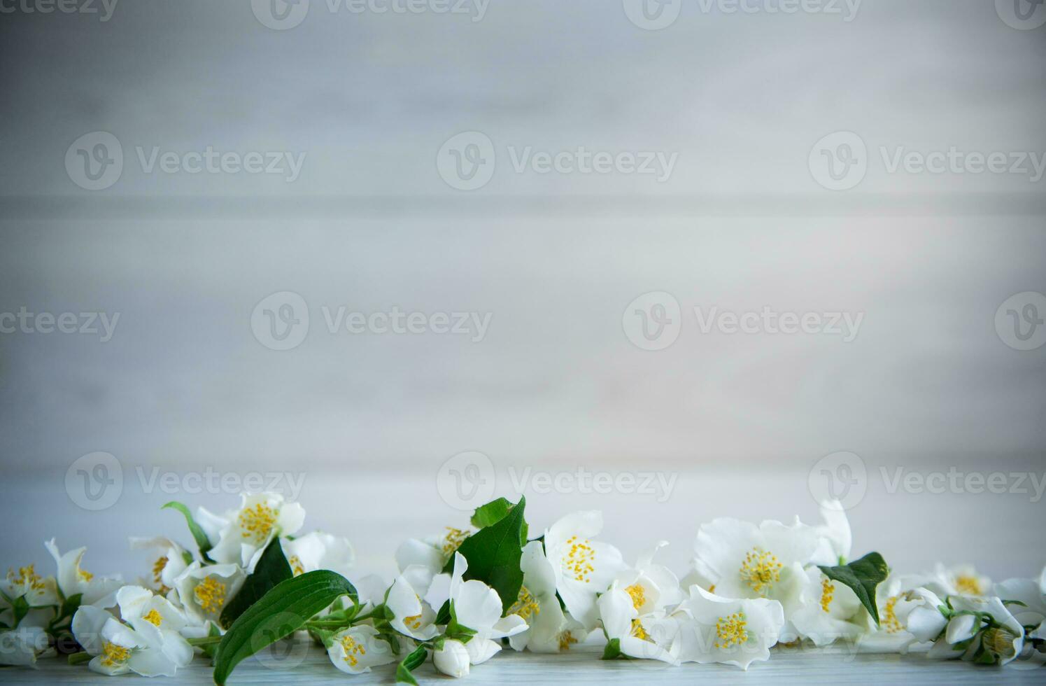 de madeira fundo com florescendo branco jasmim e esvaziar espaço foto