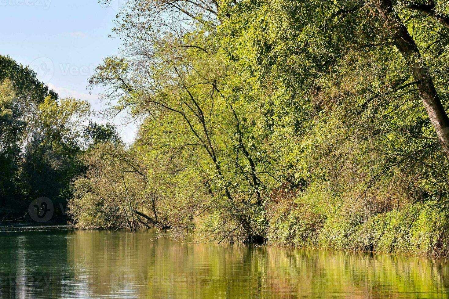 uma rio com árvores e Relva em ambos lados foto