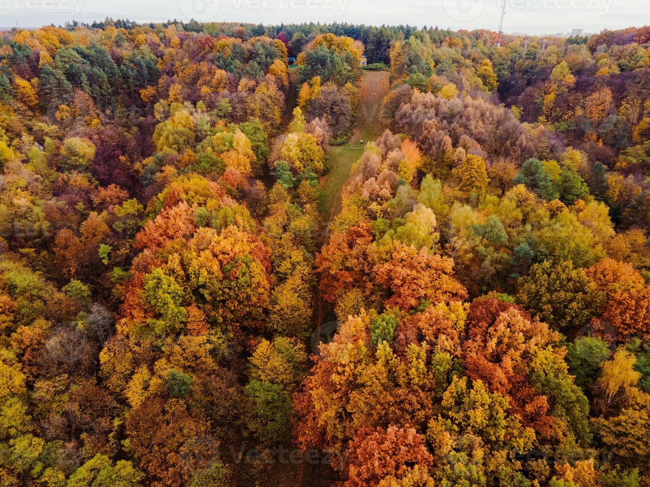 vista aérea da floresta de outono foto