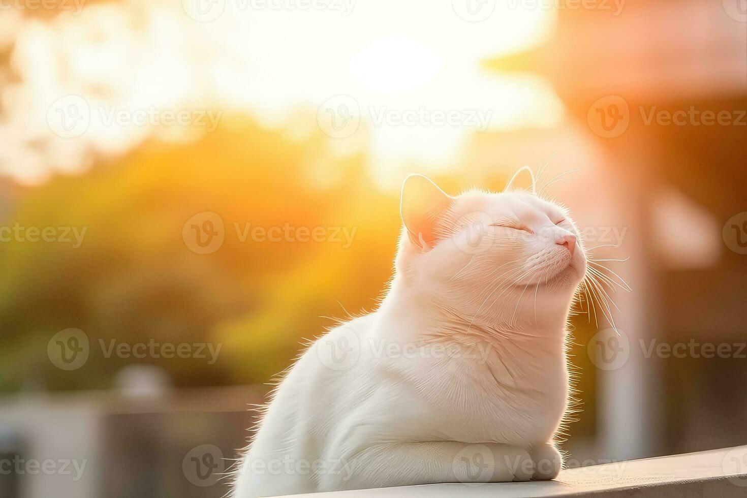 ai gerado jogando com gatos sem fim felino Diversão foto