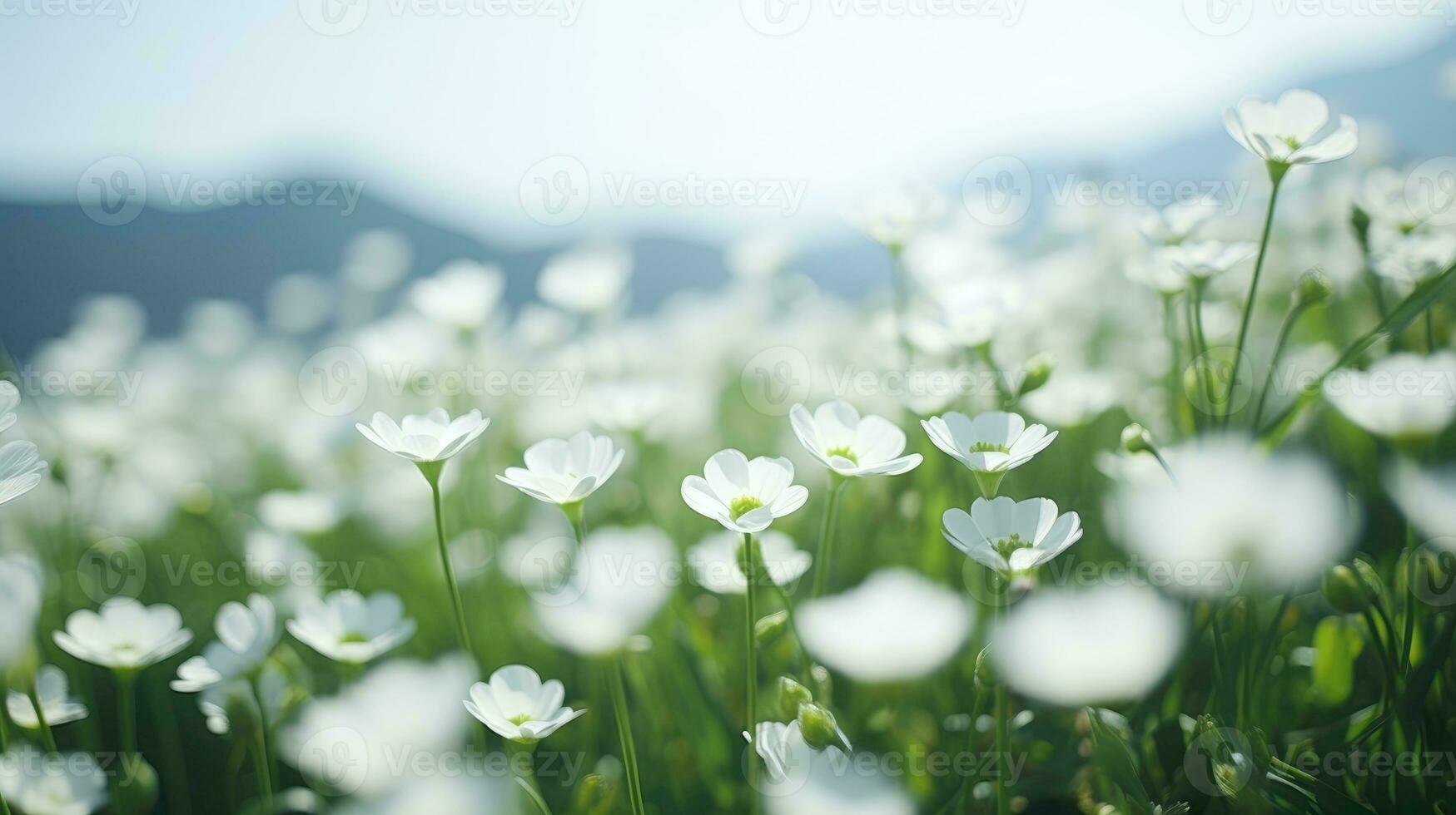 ai gerado flores, fundo imagem, flor campo, brilho, frescor, cenário, paisagem, natureza foto