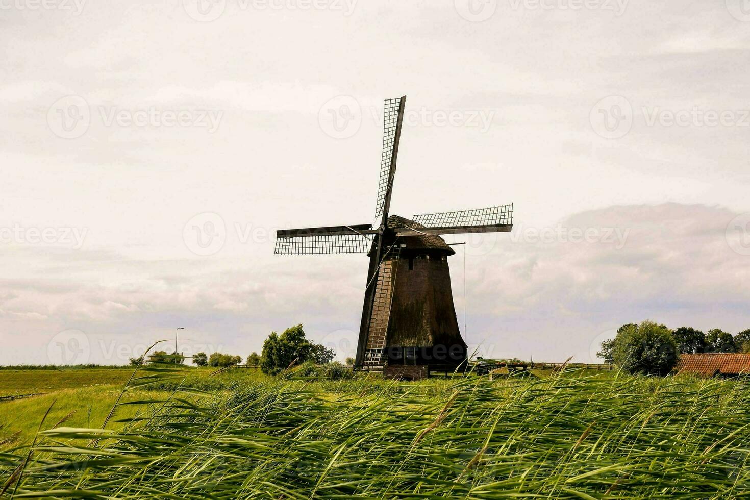 uma moinho de vento dentro a meio do uma campo com alta Relva foto