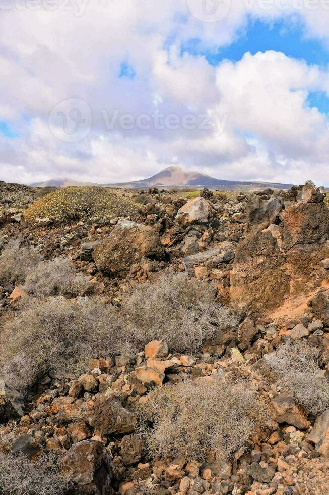 a panorama é estéril e rochoso foto