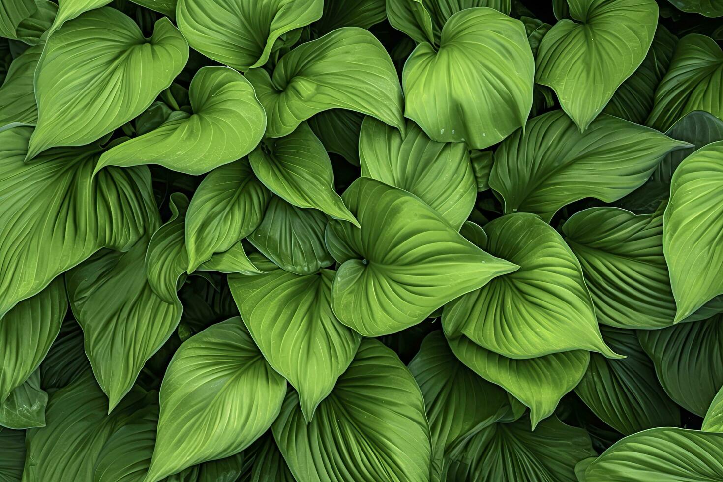 ai gerado uma plantar com grande quantidade do ampla verde folhas. ai gerado foto