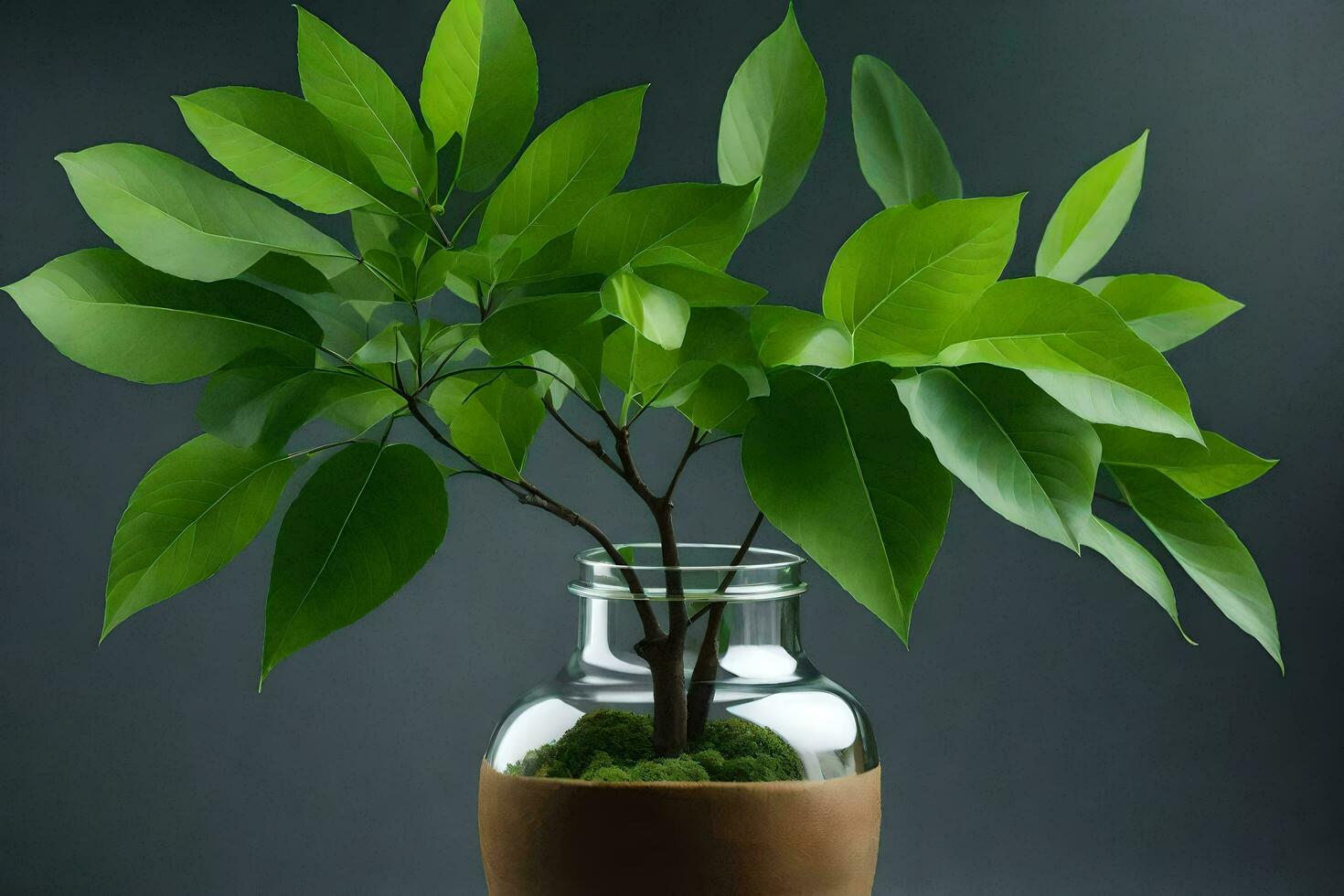 ai gerado uma em vaso plantar dentro uma branco vaso em uma mesa foto