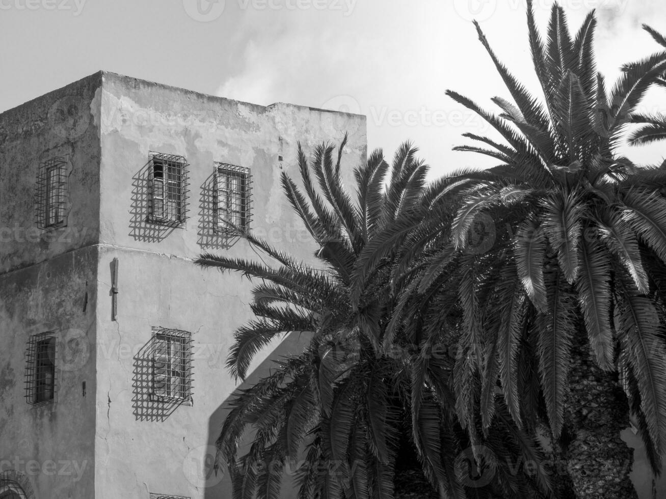 a cidade de tunis na tunísia foto