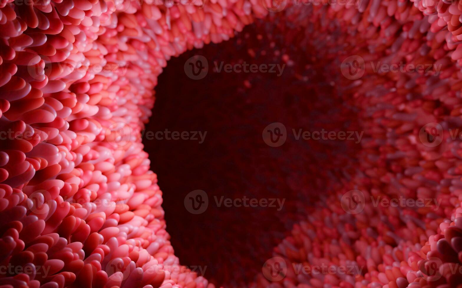 modelo do a pequeno intestino dentro a humano corpo. microvilosidades em a superfície do digestivo sistema ou intestinal trato. anatomia, biologia, Ciência, medicamento, médico e cuidados de saúde conceitos. 3d Renderização. foto