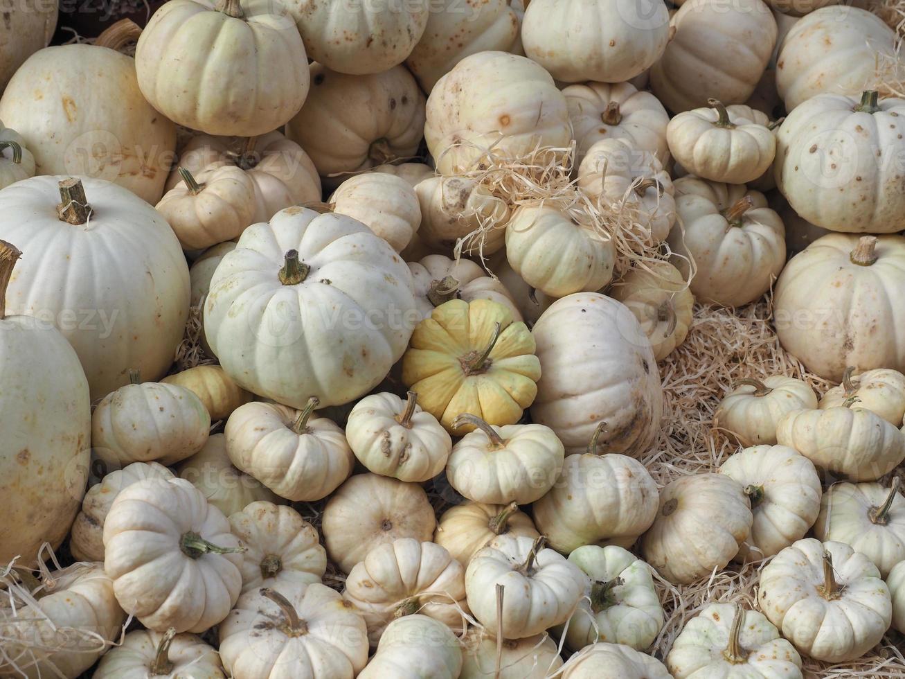 comida de vegetais de abóbora foto