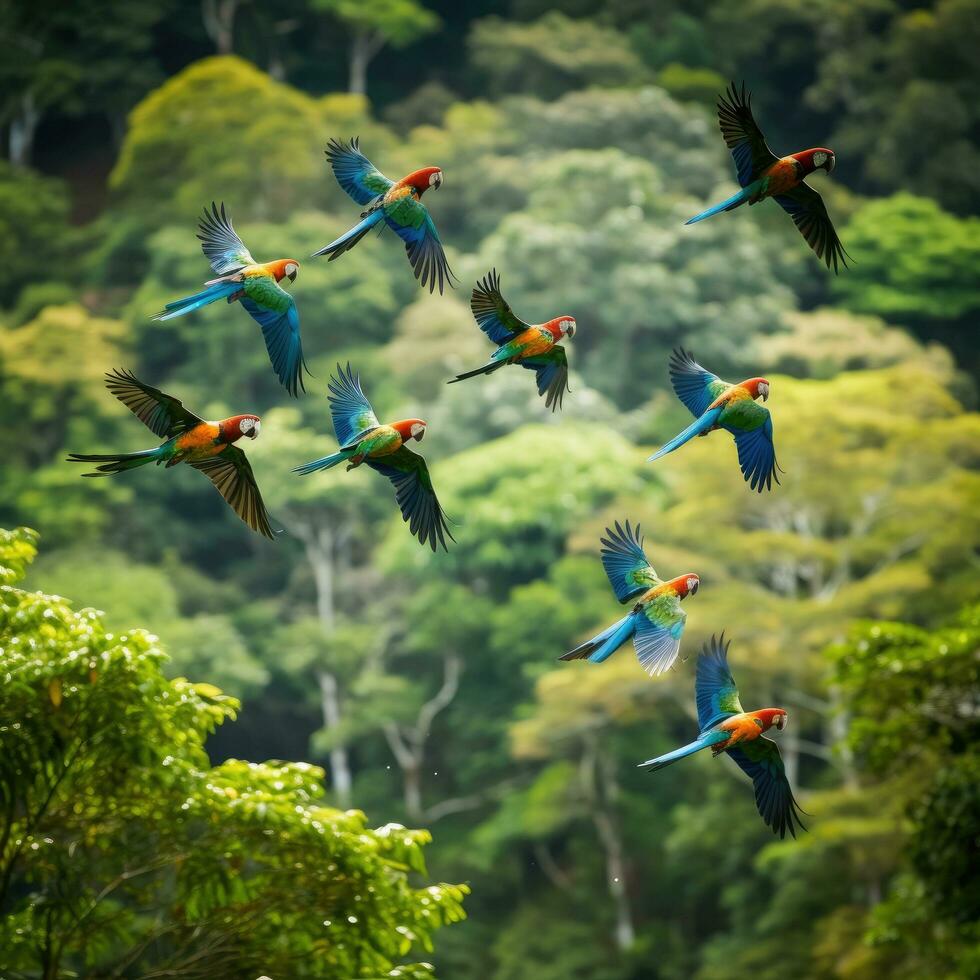 ai gerado uma rebanho do papagaios dentro voo, seus vibrante plumagem contrastante contra a exuberante verde folhagem foto