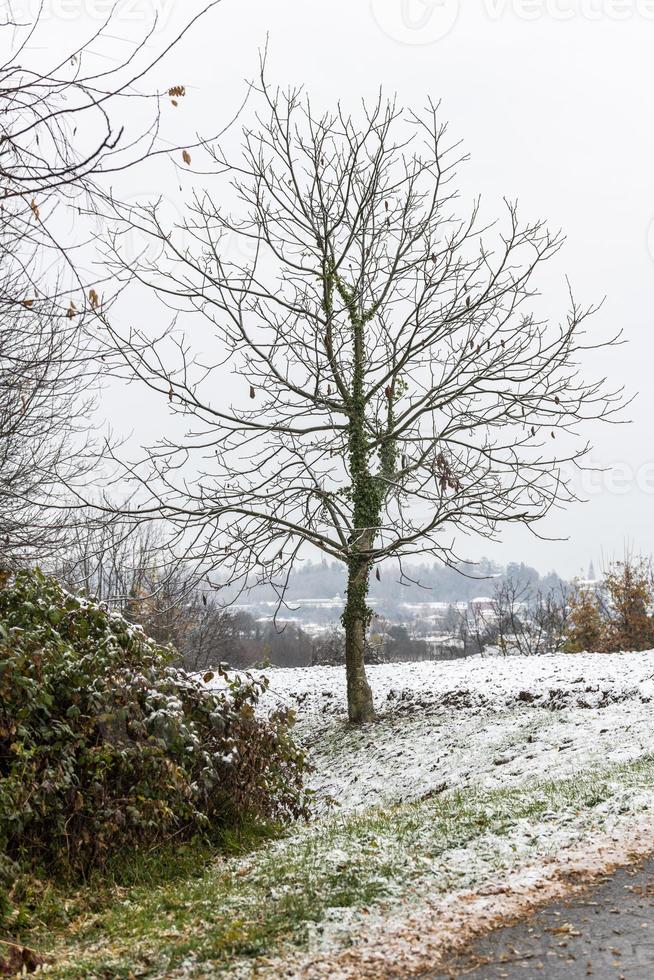 primeira neve nas cidades montanhosas. entre outono e inverno foto