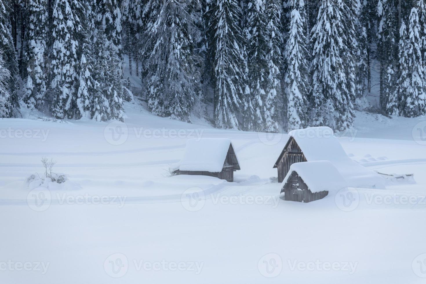 após a queda de neve. últimas luzes do crepúsculo em sappada. magia das dolomitas foto