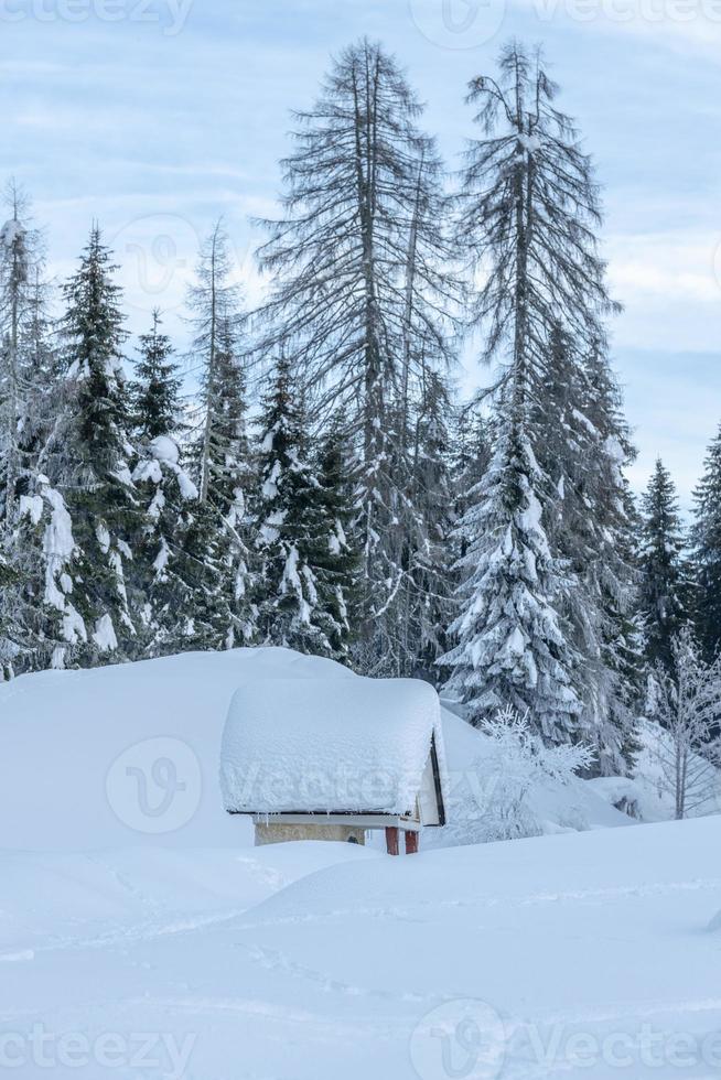 após a queda de neve. últimas luzes do crepúsculo em sappada. magia das dolomitas foto