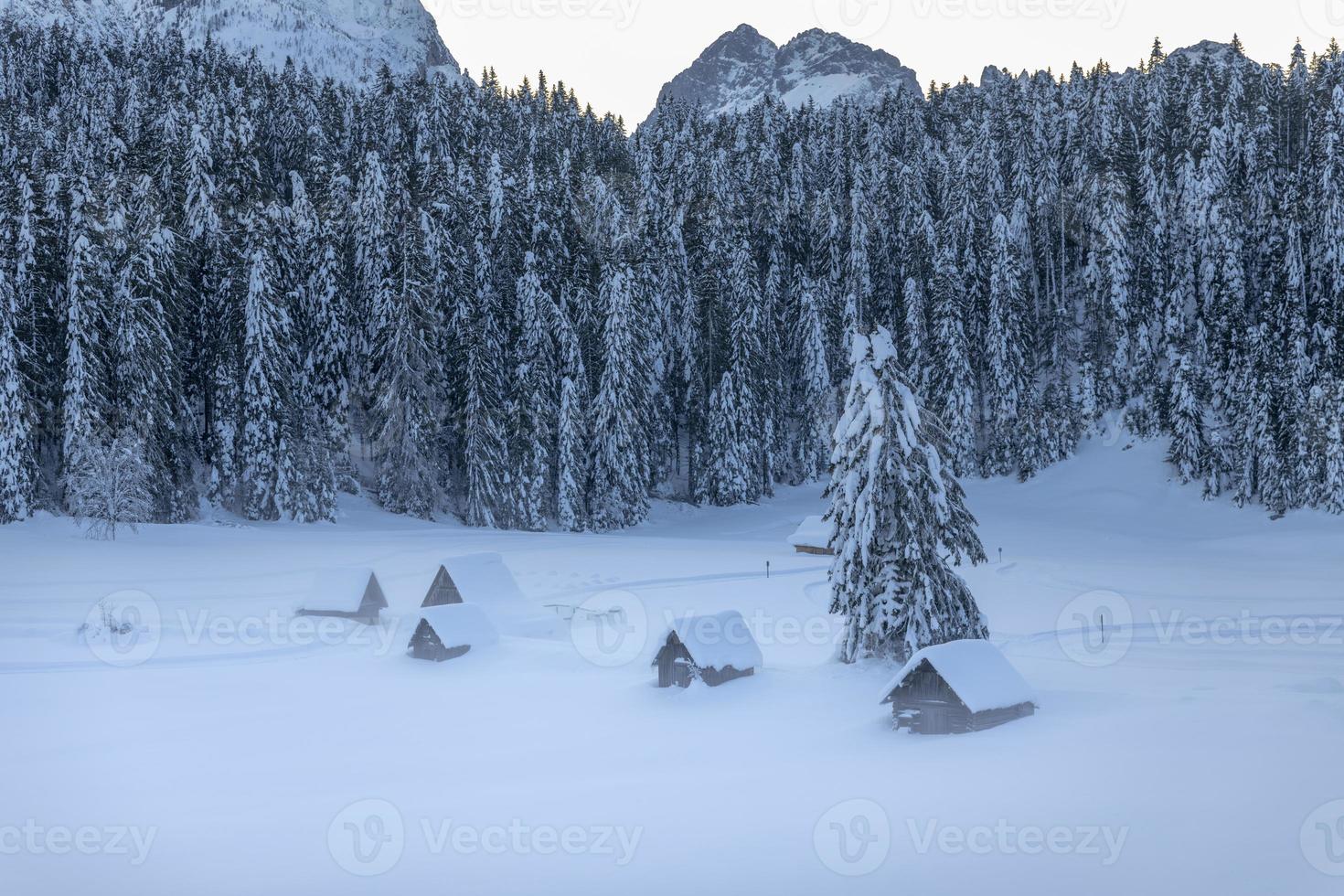 após a queda de neve. últimas luzes do crepúsculo em sappada. magia das dolomitas foto