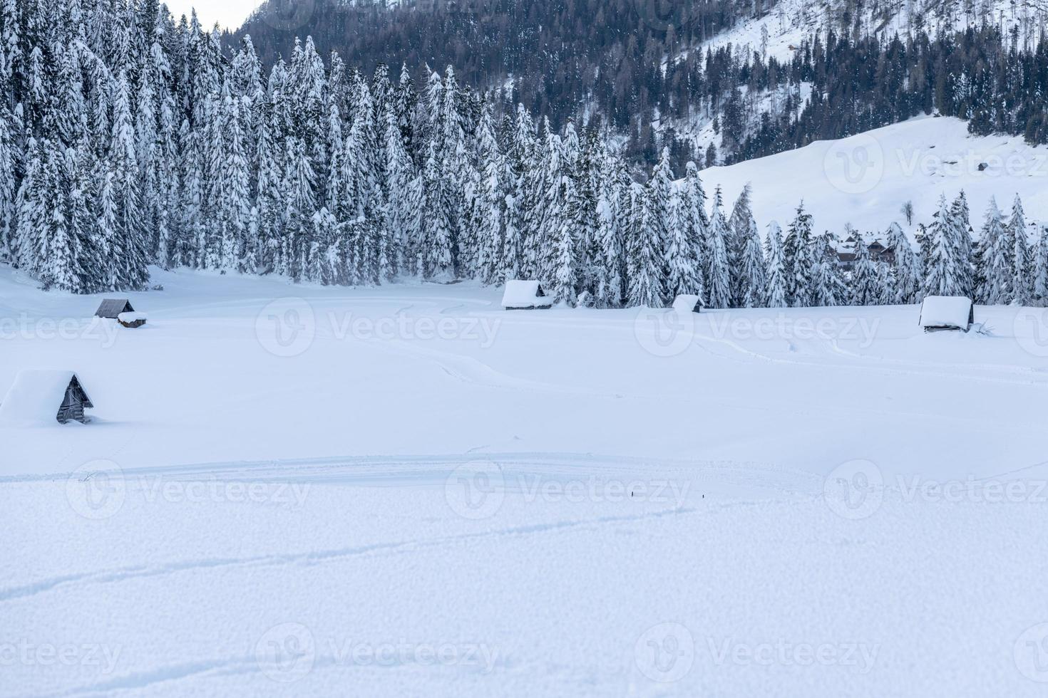 após a queda de neve. últimas luzes do crepúsculo em sappada. magia das dolomitas foto