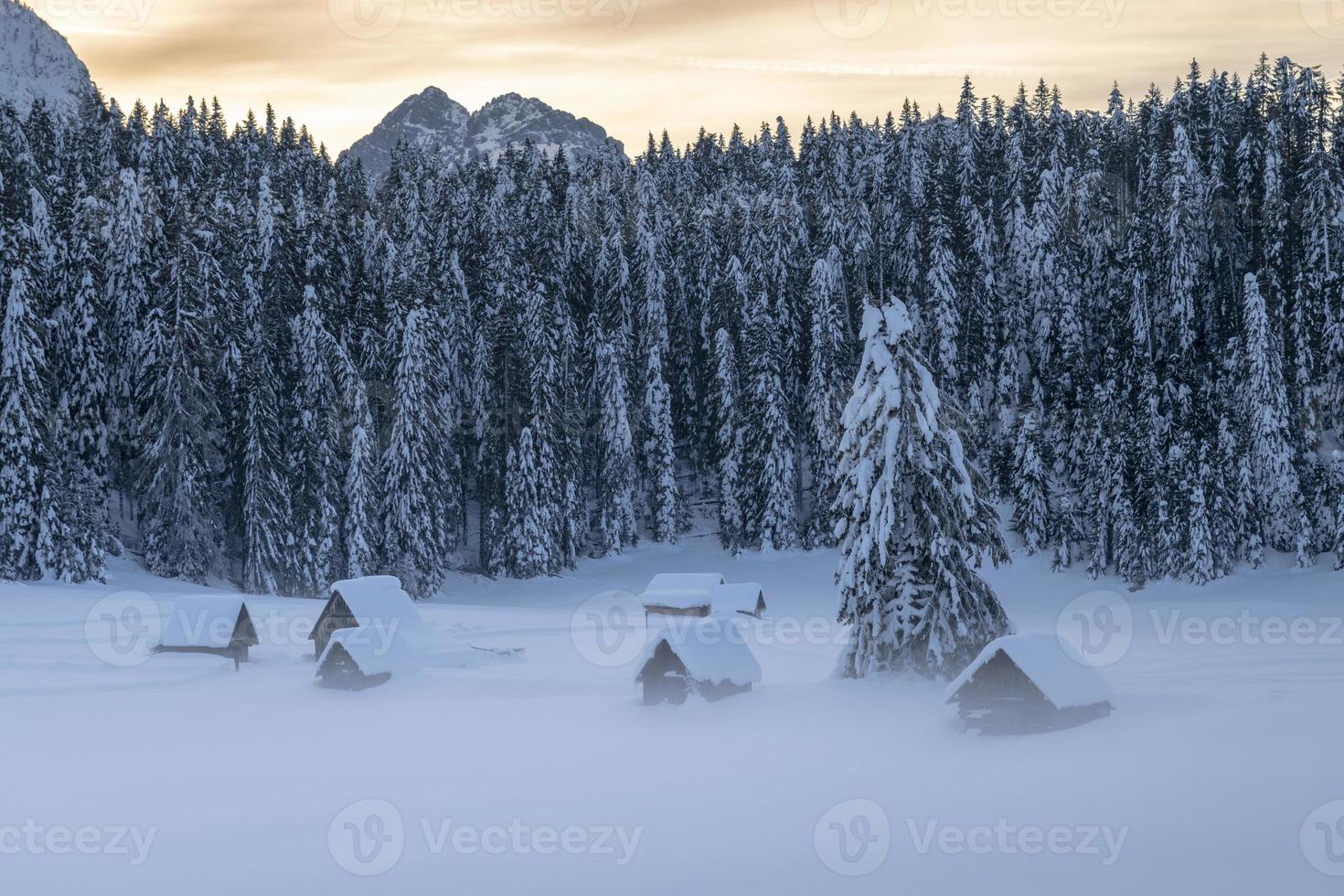 após a queda de neve. últimas luzes do crepúsculo em sappada. magia das dolomitas foto