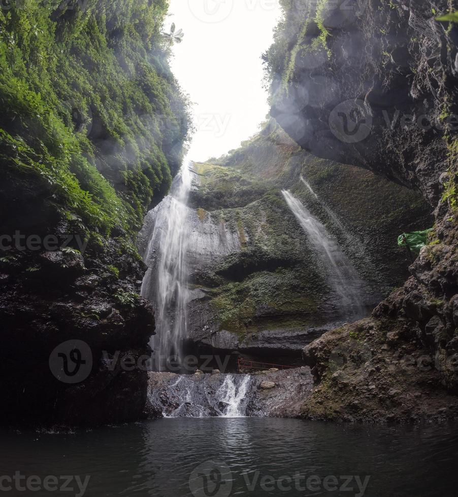 cachoeira madakaripura fluindo no vale da rocha com plantas no parque nacional foto