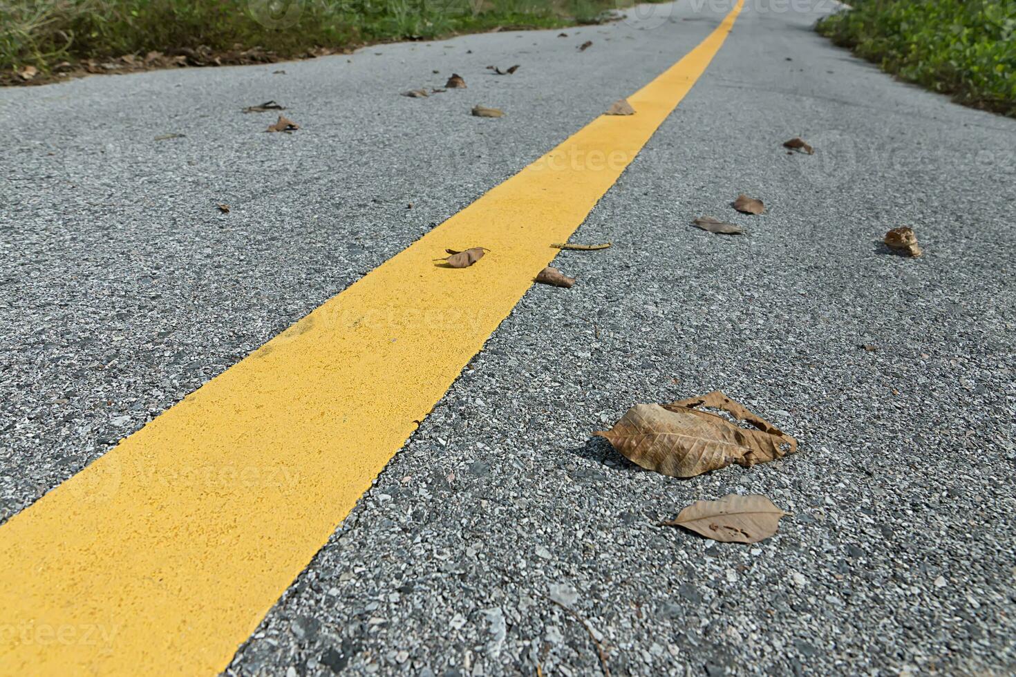 amarelo tráfego linhas com seco folha em a chão. foto