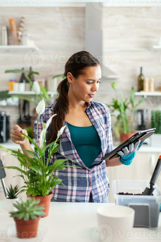 mulher lendo sobre jardinagem em tábua pc dentro casa cozinha. decorativo, plantas, crescente, estilo de vida, projeto, botânica, sujeira, doméstico, crescer, folha, passatempo, semeadura, Cuidado, feliz, verde, natural, foto