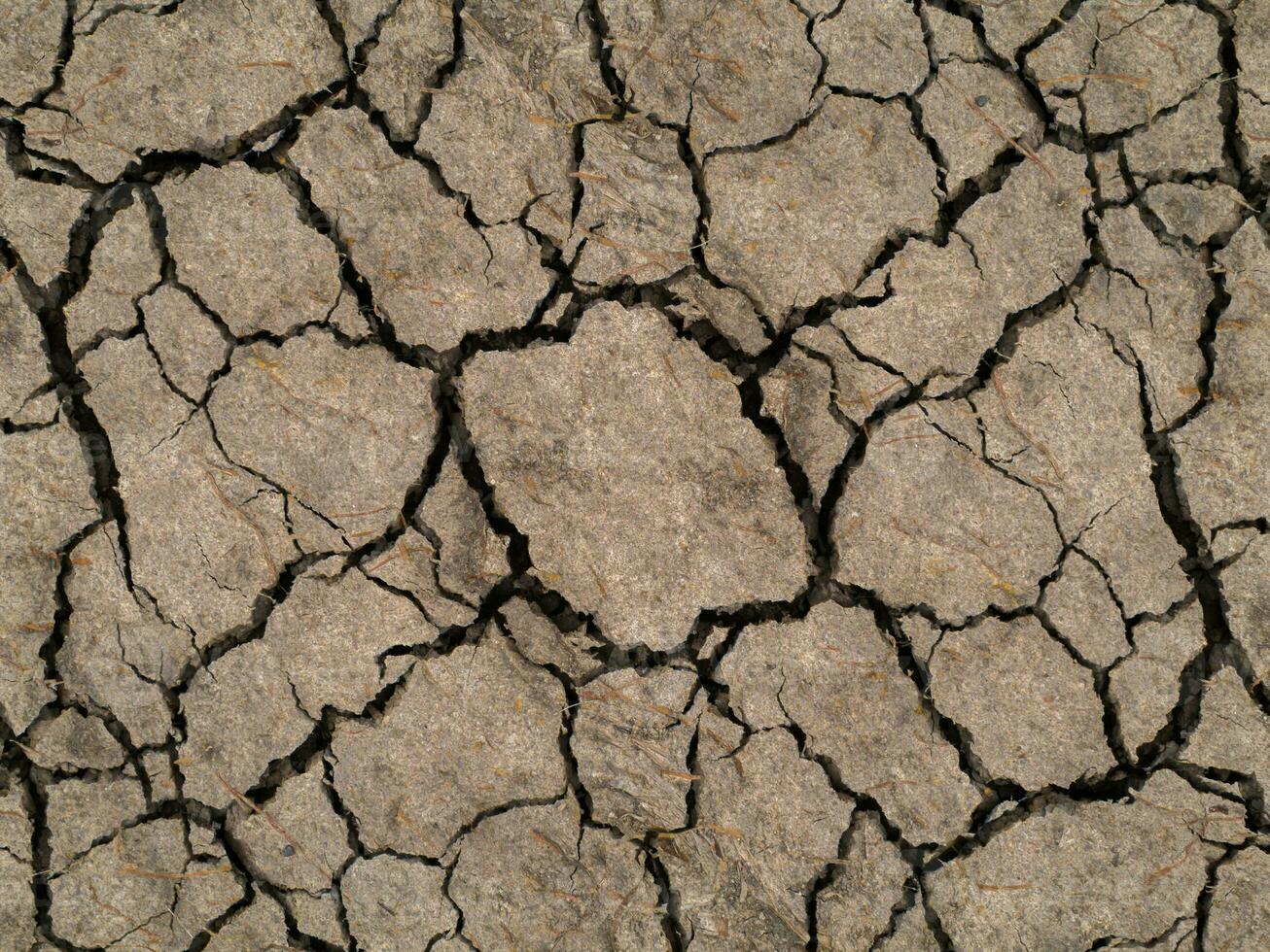 seco solo dentro verão foto