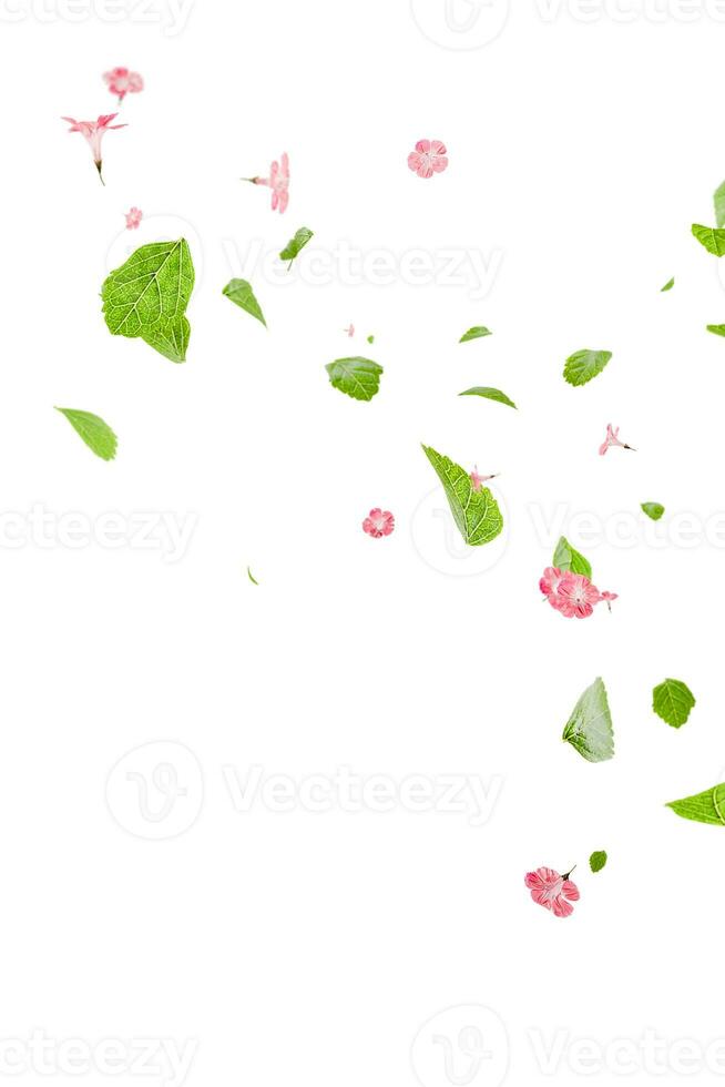 fresco verde folhas com Rosa flores vôo fundo foto