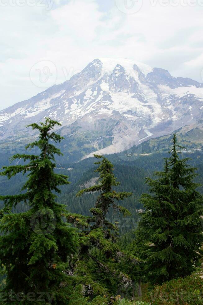 mt. mais chuvoso, com coníferas floresta foto