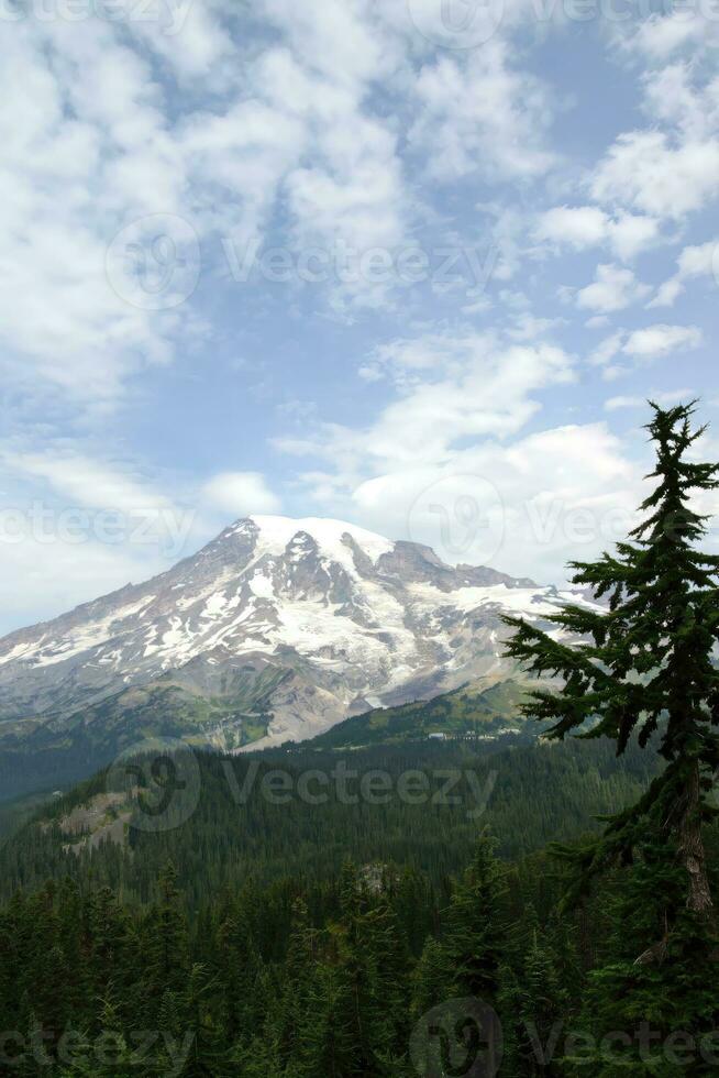 mt. mais chuvoso, com coníferas floresta foto