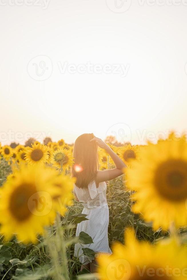jovem mulher bonita entre girassóis ao pôr do sol foto