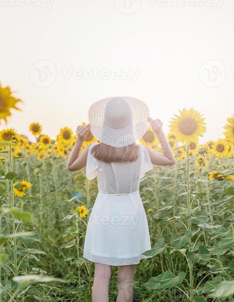 jovem e linda mulher usando um chapéu em pé entre os girassóis no pôr do sol foto